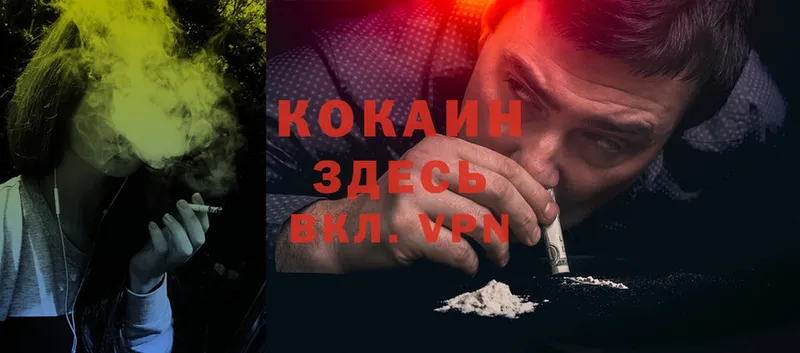 COCAIN Боливия  сколько стоит  Кизел 