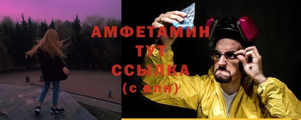 дживик Надым