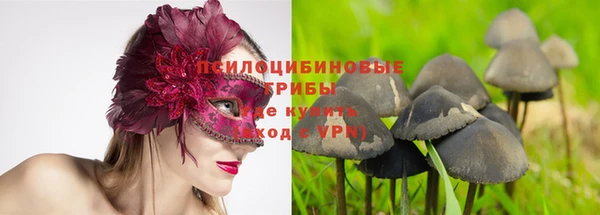 индика Навашино