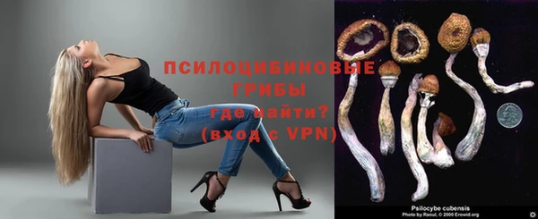 соль ск Нея