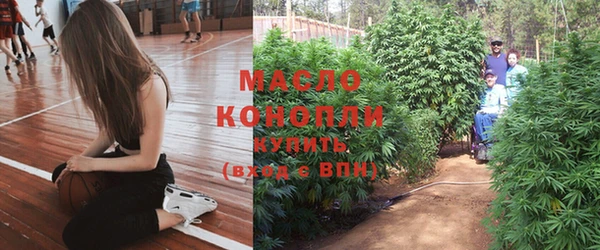 индика Навашино